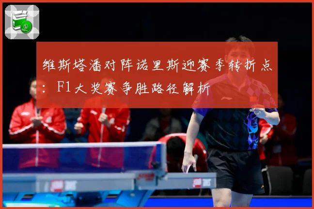 维斯塔潘对阵诺里斯迎赛季转折点：F1大奖赛争胜路径解析